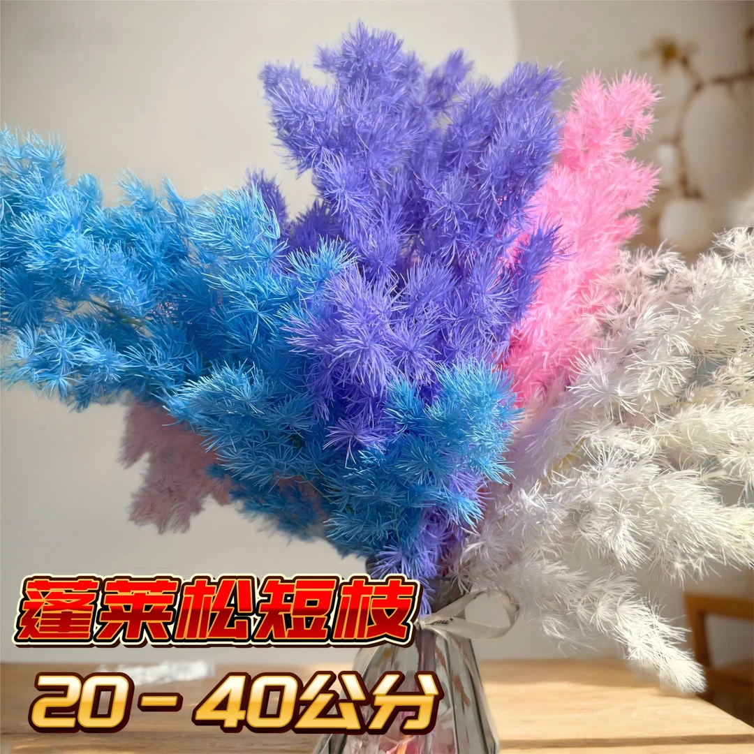 永生花蓬莱松短枝20-40公分长度家居装饰手工花束5枝装