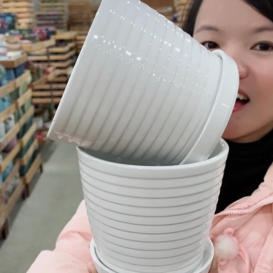 红陶直播间已有一年里