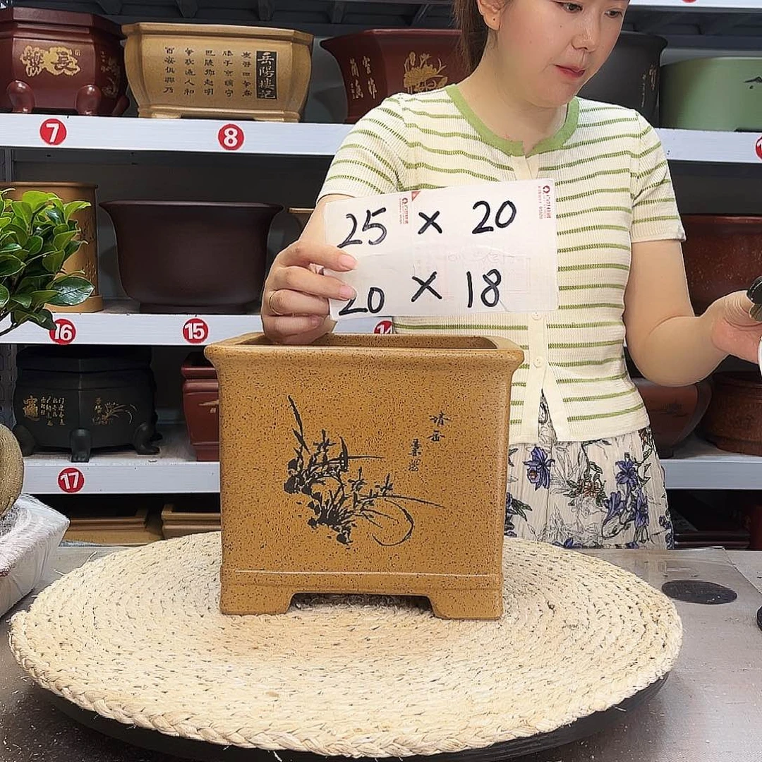 紫砂花盆紫砂花盆