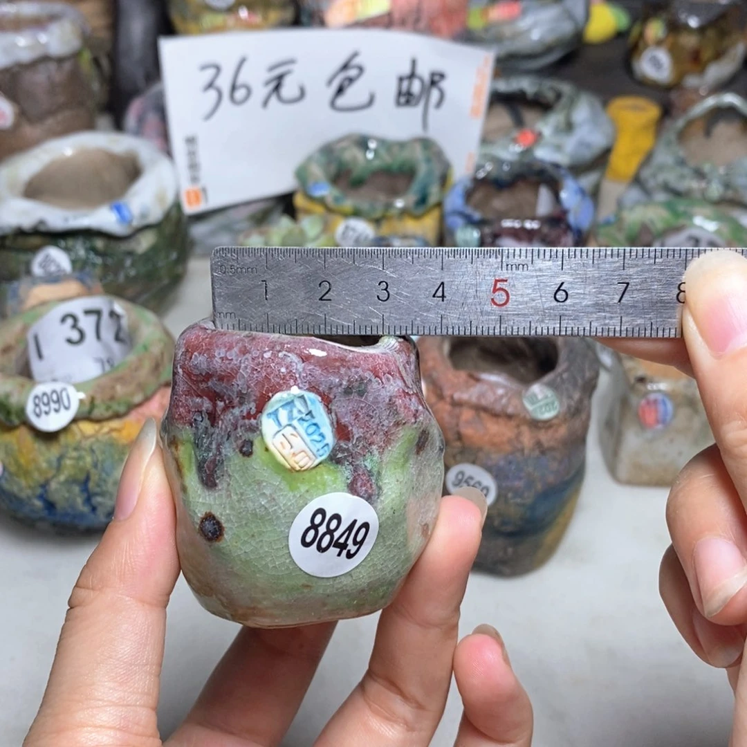 拍3送一个小礼物