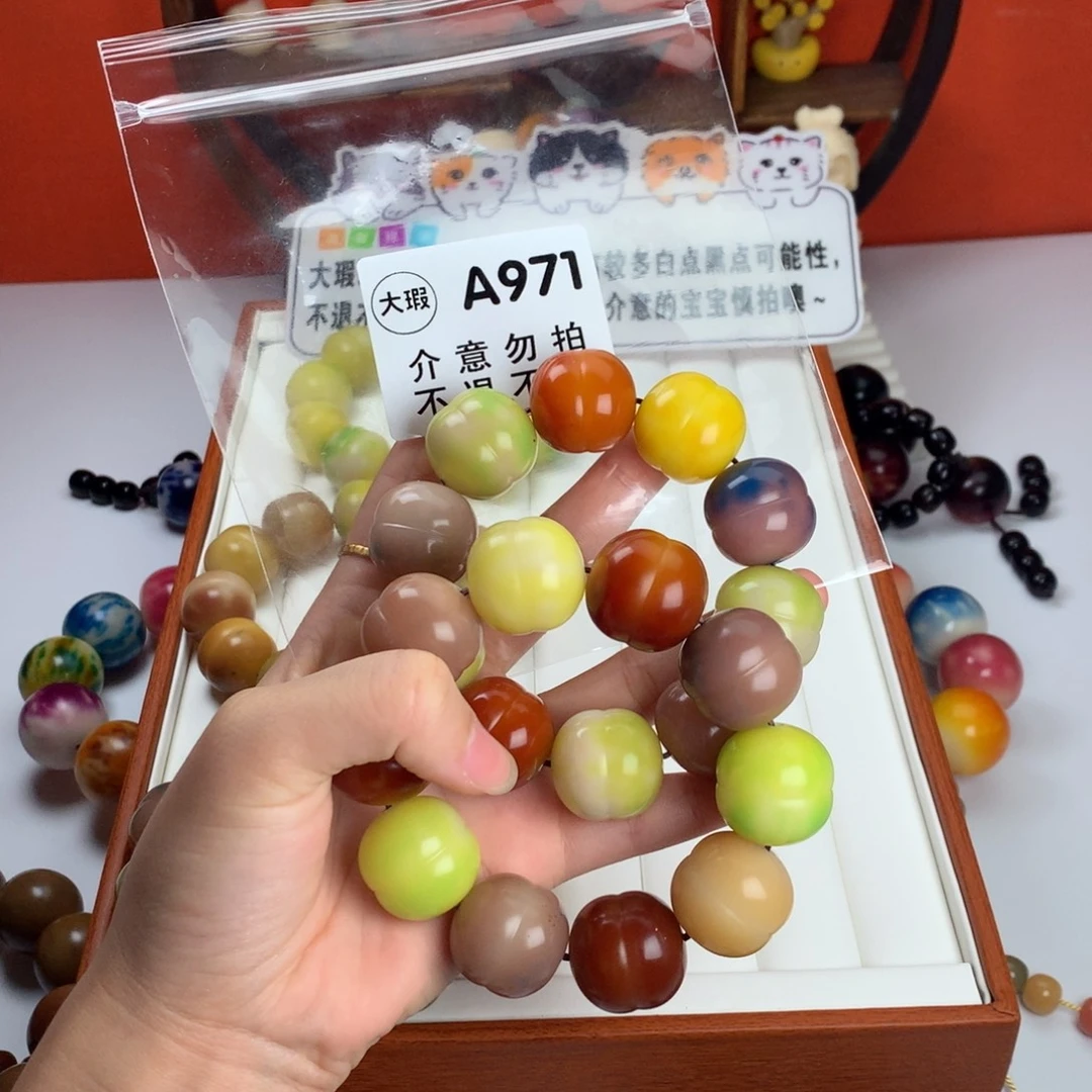 水***贝吊坠菩提根/象牙果