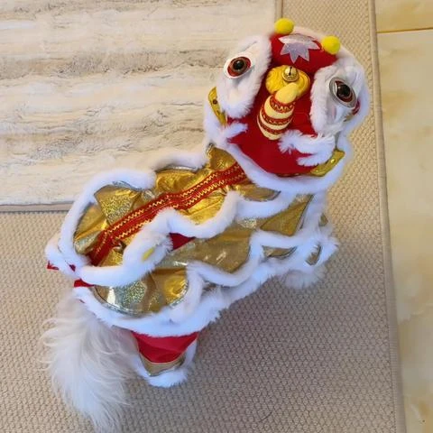 狗狗醒狮舞狮衣服保暖加厚喜庆衣服泰迪柯基猫咪衣服新年宠物服饰