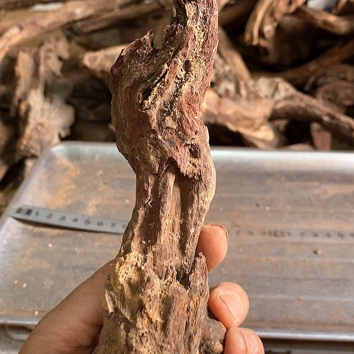 花梨木类狼海南花梨