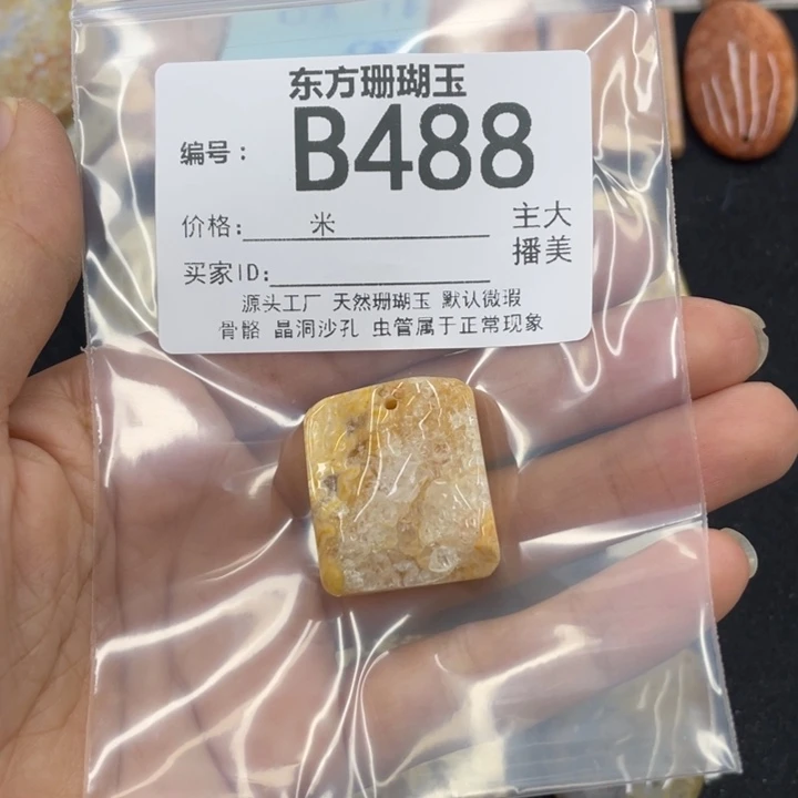 硅化珊瑚（珊瑚玉）颈饰合金烈*