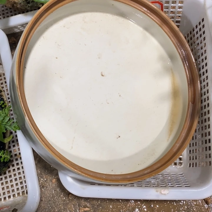 新***界退款拉黑一物一拍71