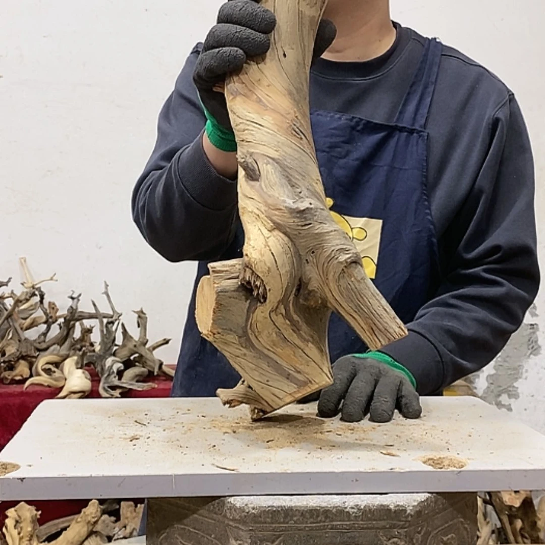 【闪购商品】柏木不****头我们都是好孩子