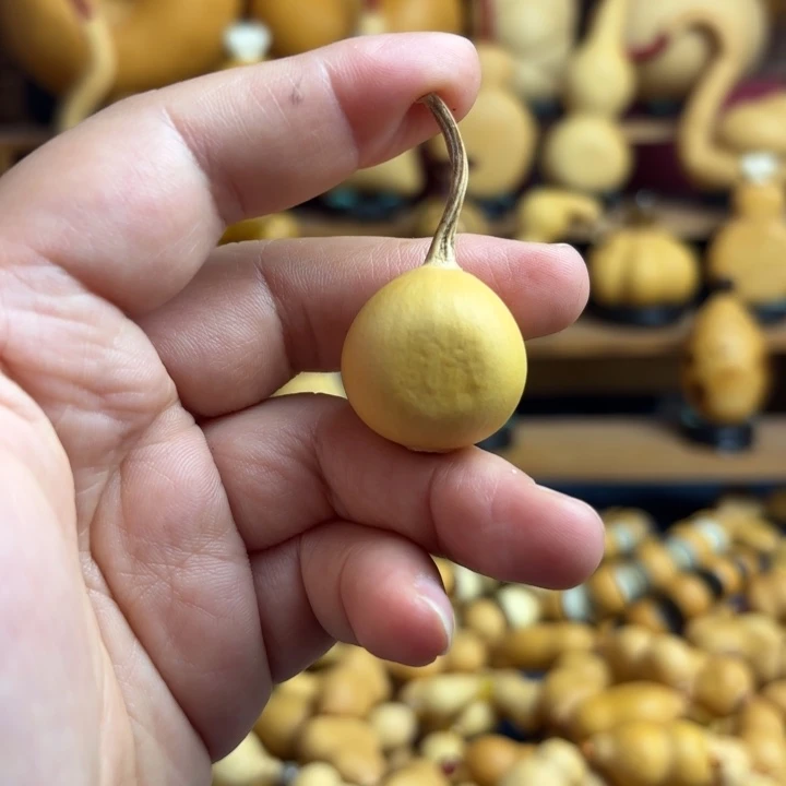 S***N木天然葫芦小苹果扁