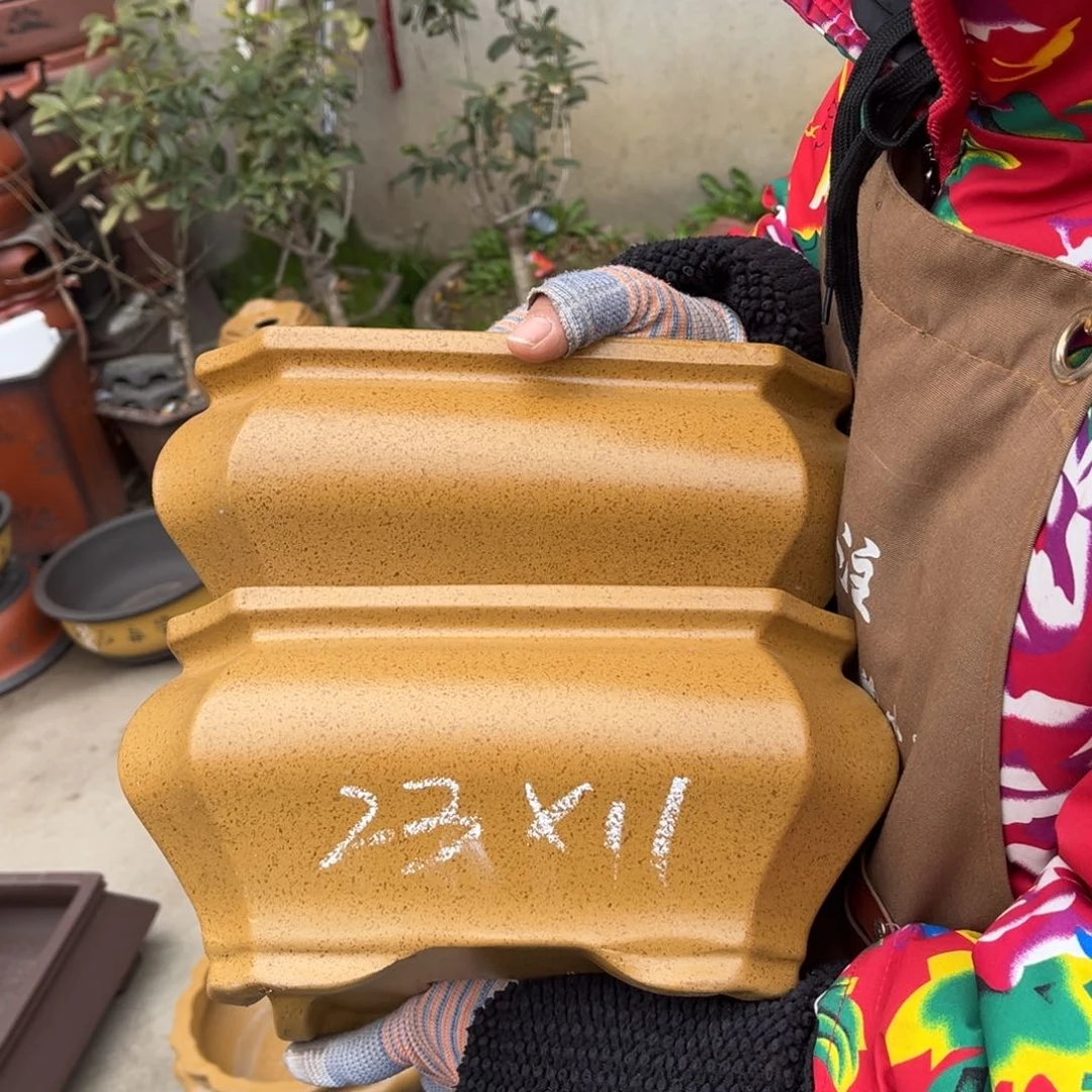 紫砂花盆盆景艺术