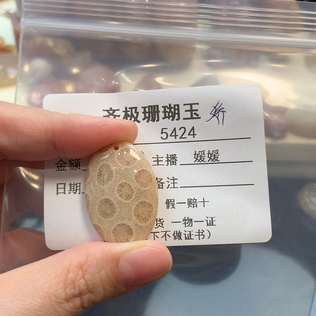 颈饰未镶嵌硅化珊瑚（珊瑚玉）