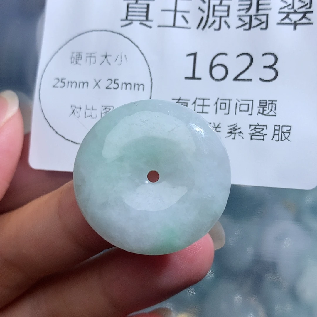 翡翠未镶嵌颈饰1623