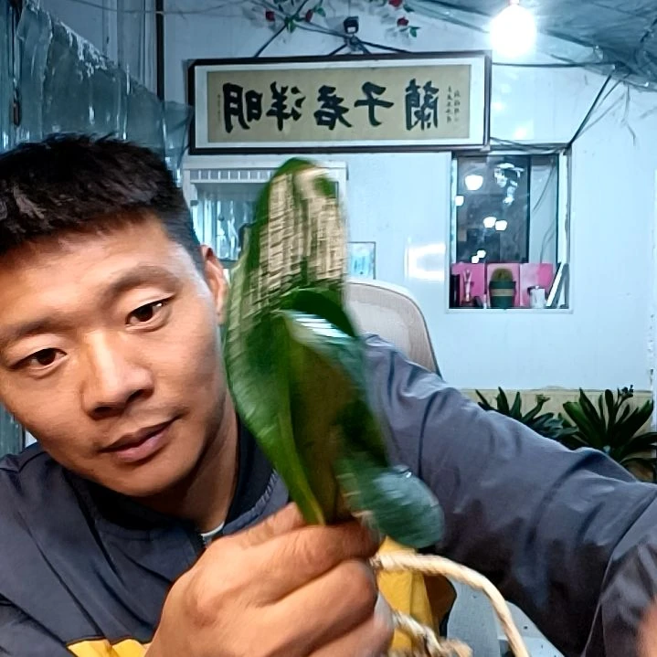 @雾里看花69元宽叶座王芽