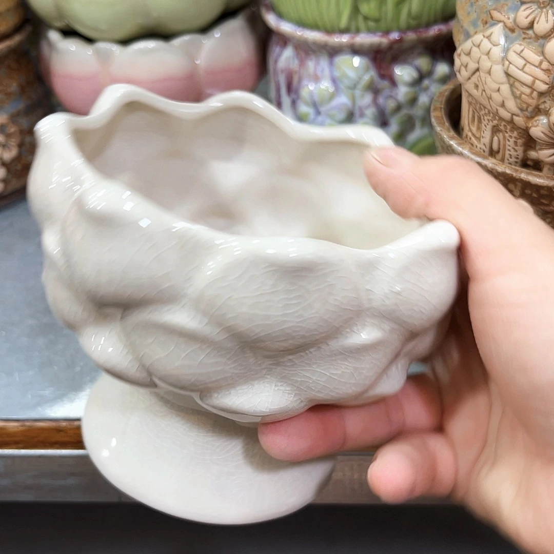 花盆花盆花盆花盆花盆花盆花盆