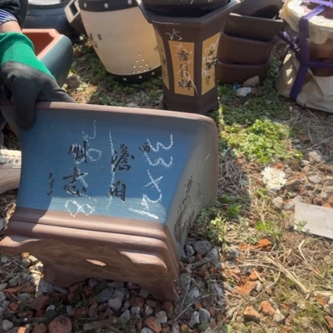 紫砂花盆紫砂花盆盆景盆栽