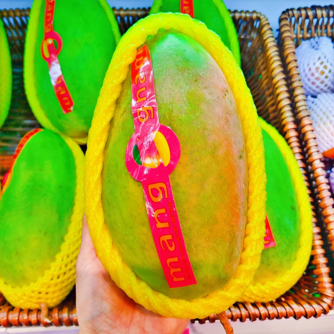 越南青皮芒果1个约1034克