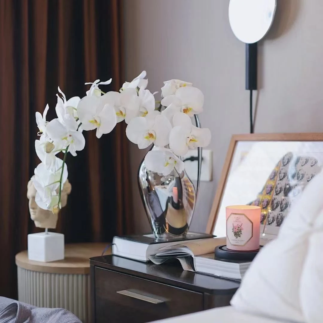 高级蝴蝶兰（可和花束拼单，拼单升级顺丰）