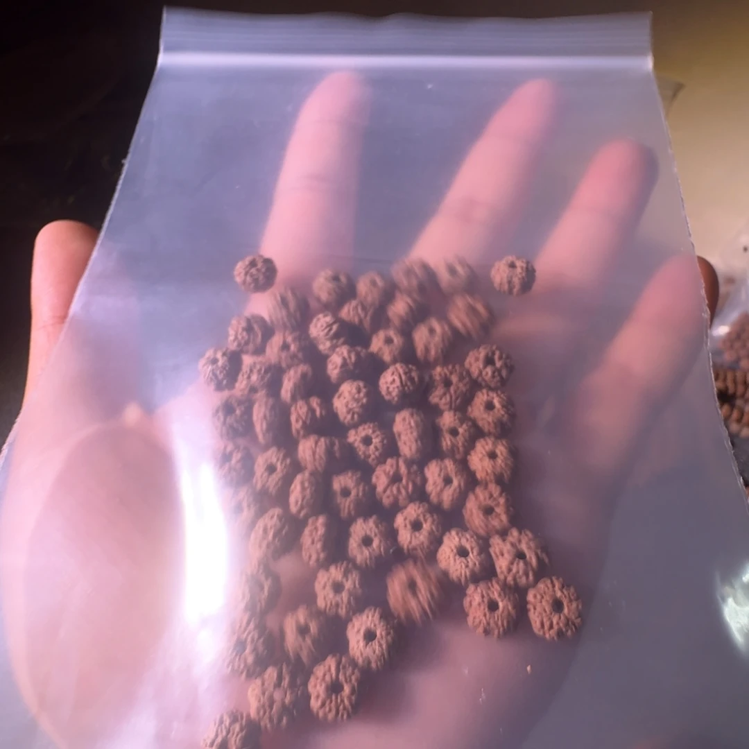 金刚菩提吊坠歡己8小平细体验款