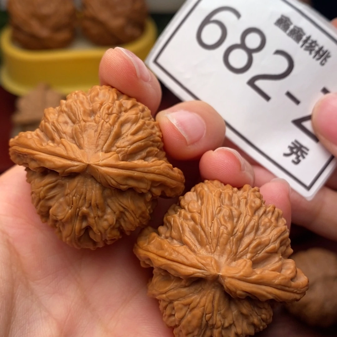 文玩核桃把件白狮子40……