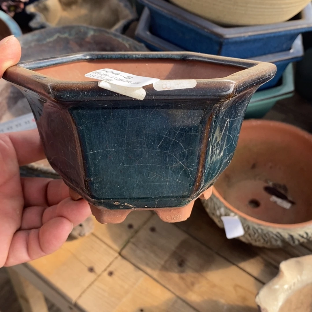 8号花盆内13.5高8.5