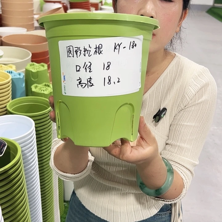正品圆控口18高18果绿8只无托