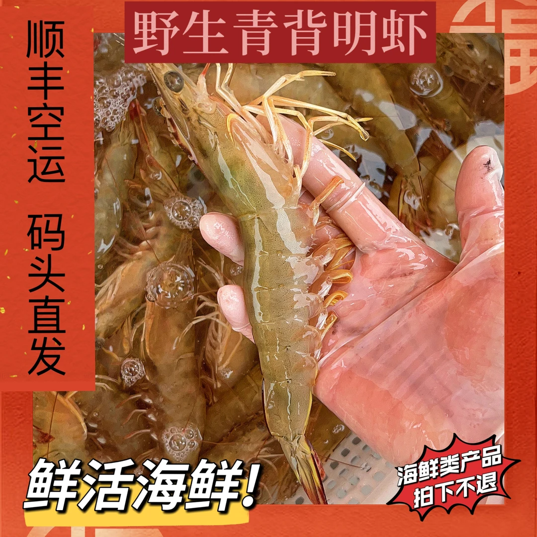 鲜活野生明虾 北海本港 加水活冻 深海捕捞 （拍下不退）