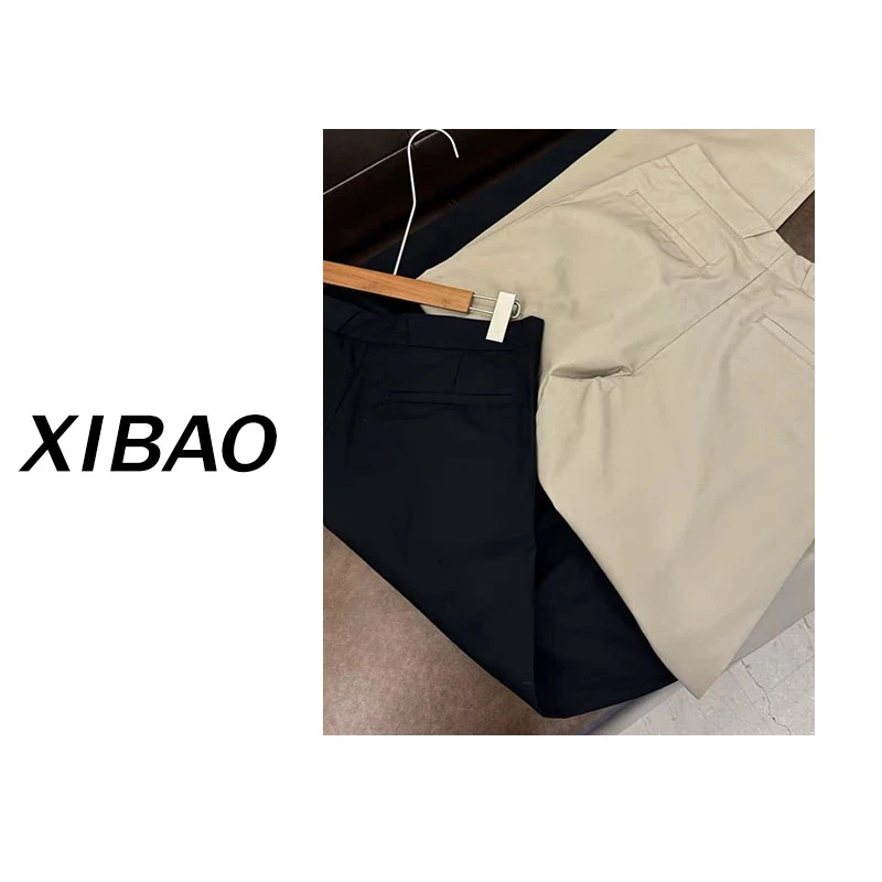 【免烫抗皱】进口面料四面弹九分小直筒裤MCH209