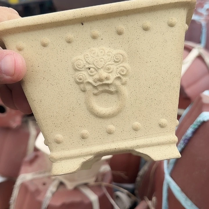 不去看书啊哈在寝室呢不来