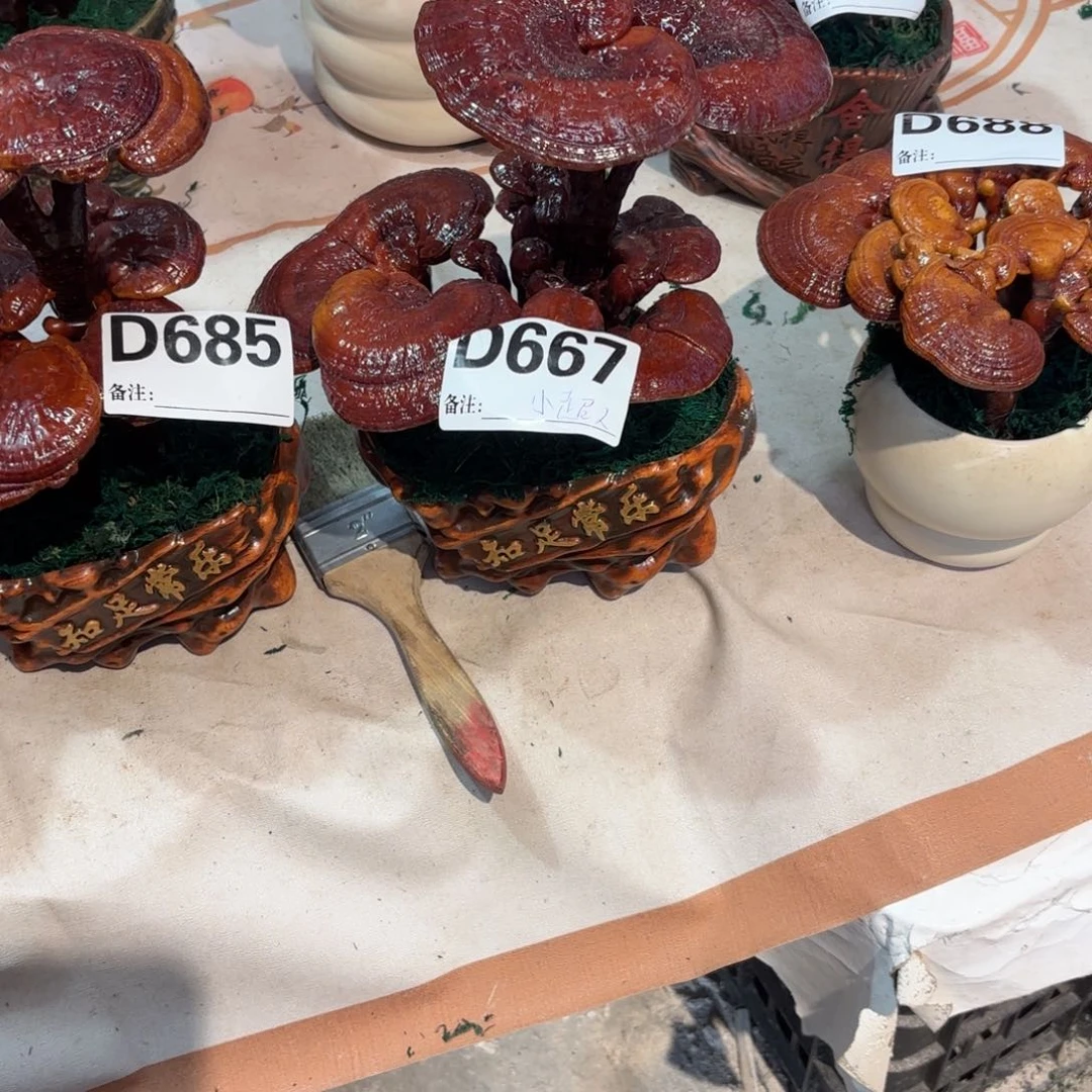 花***姐无花朵灵芝888888888888