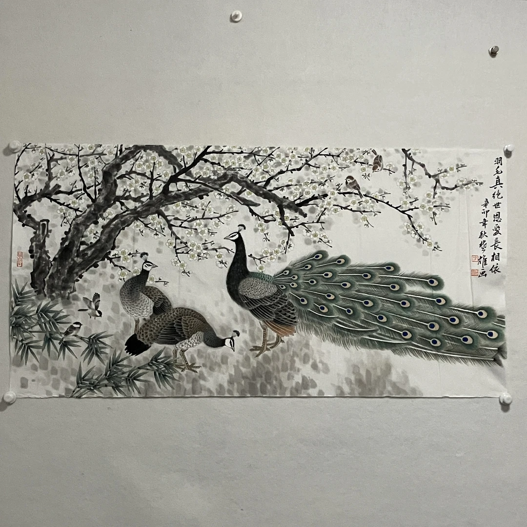 6816 孔雀 纸本设色68×136cm