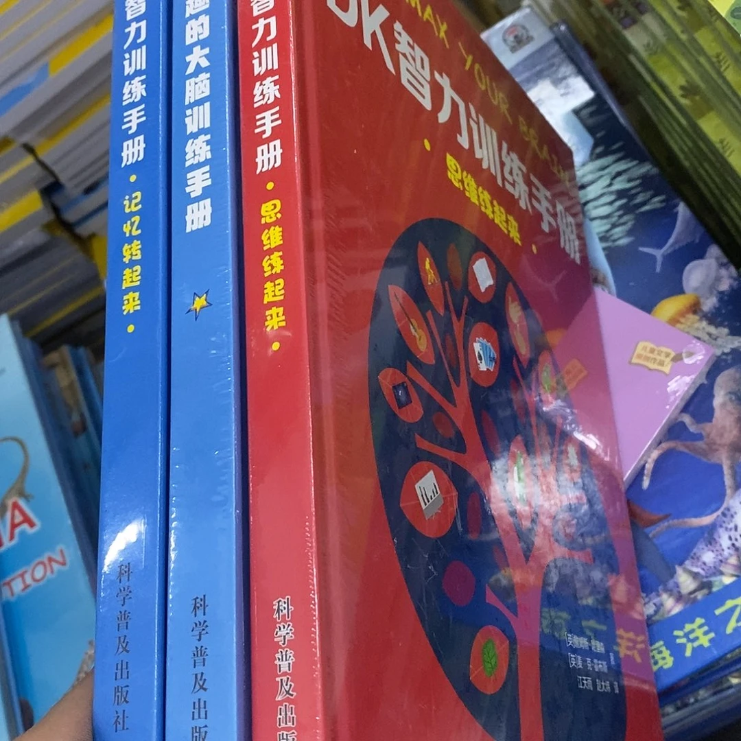 DK大脑 三本