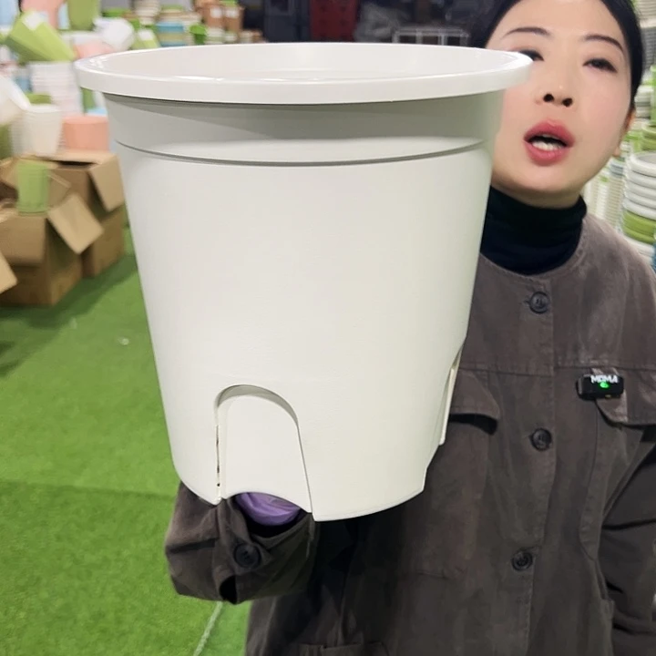 正品圆控口24高24白色8只无托