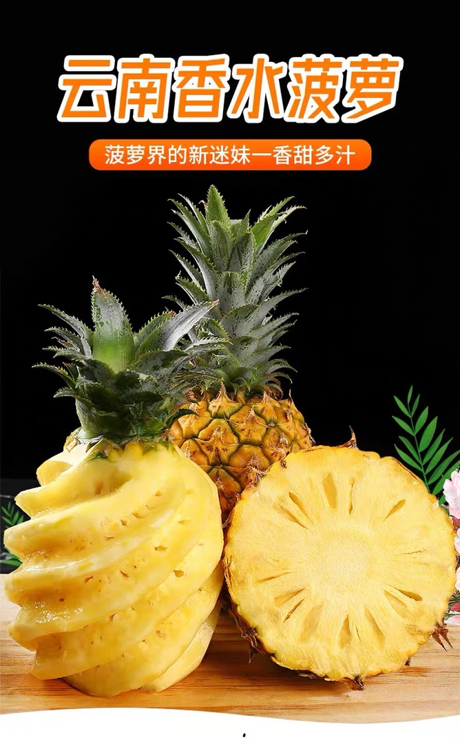 正宗云南香水菠萝新鲜釆摘当季水果