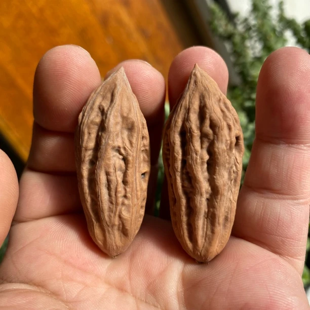 瓜条东北野生秋子核桃细长手指粗细单边异型核桃