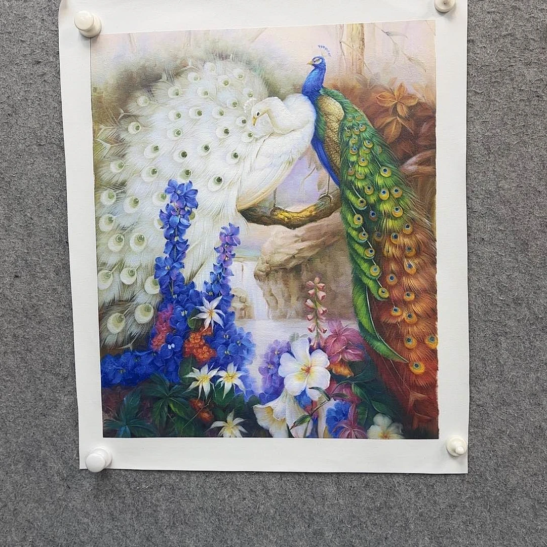 书法作品多次参加