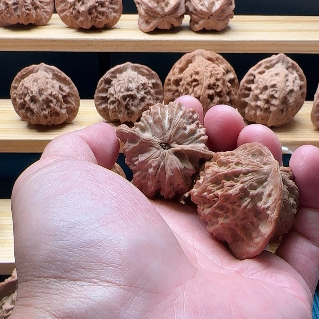 吊坠桃核太行马蹄