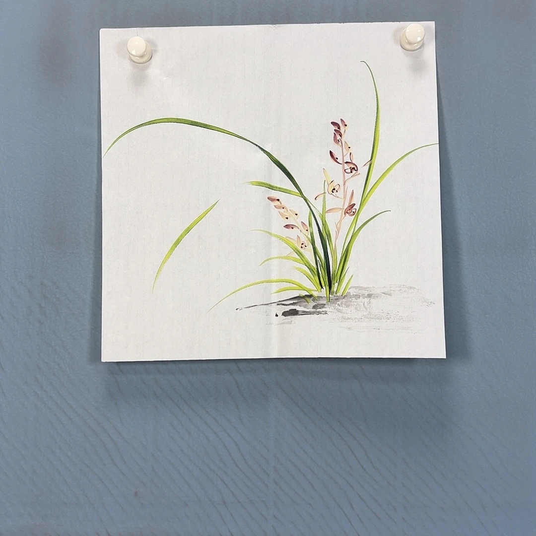 国画424 牡丹一如您的脸颊