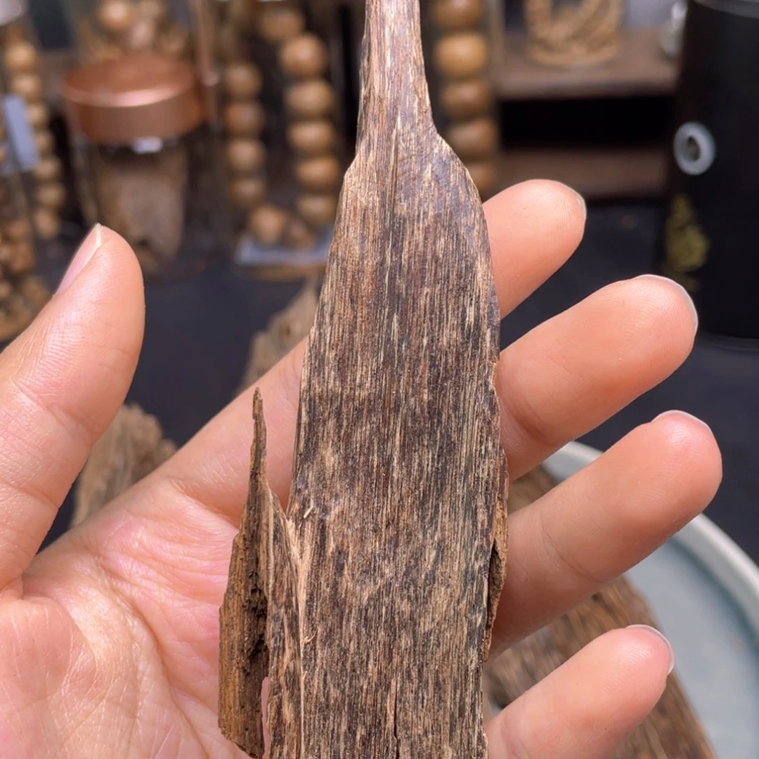 香榧木6克海南尖峰岭树心老虫漏