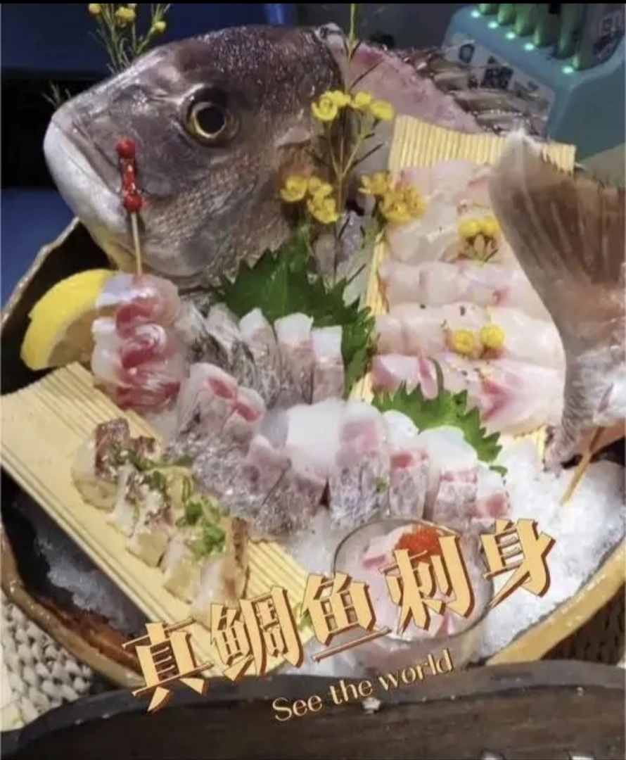 真鲷鱼 加吉鱼 活鱼放血冰鲜发货 可以做刺身的鱼