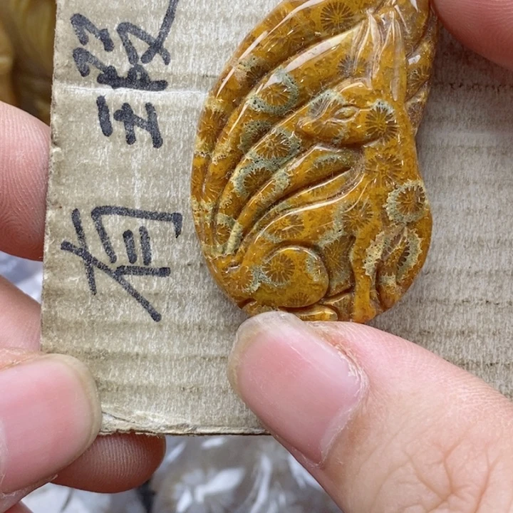 颈饰未镶嵌硅化珊瑚（珊瑚玉）清*呀小