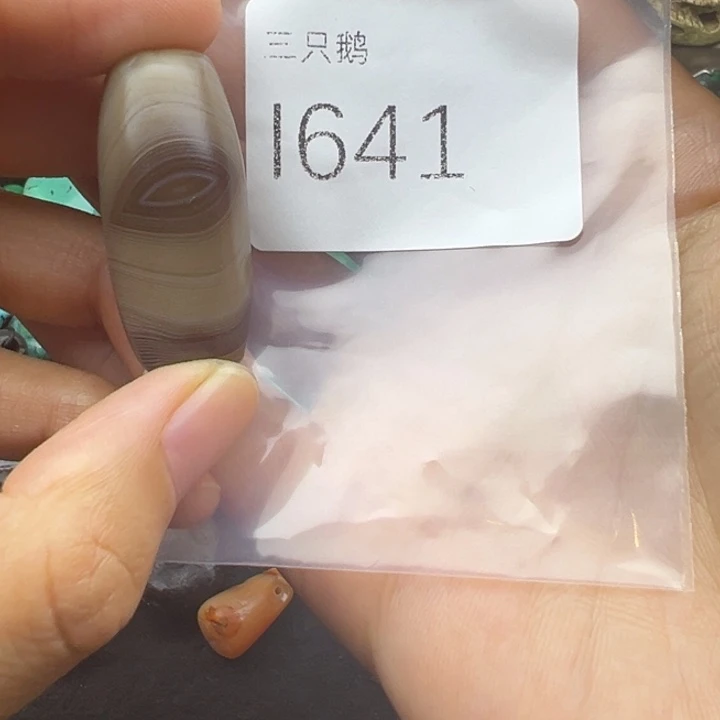 吊坠菩提根/象牙果