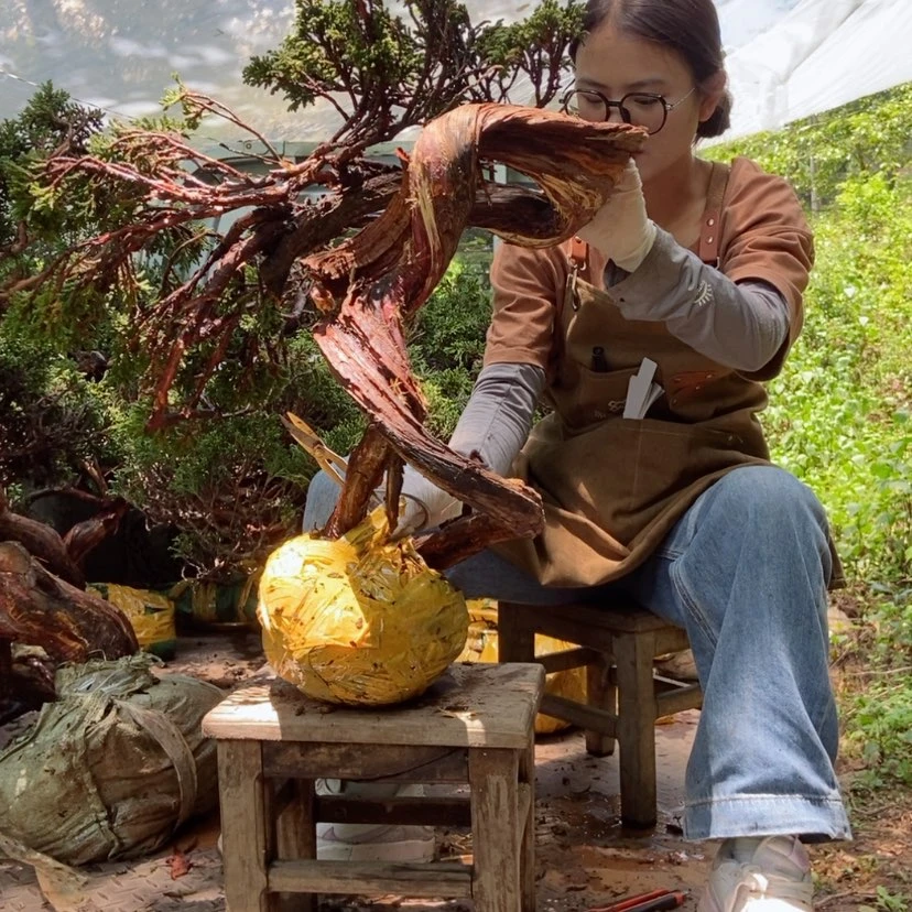 【闪购商品】完全开放