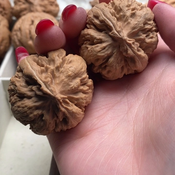 用***4文玩核桃把件霸王龙