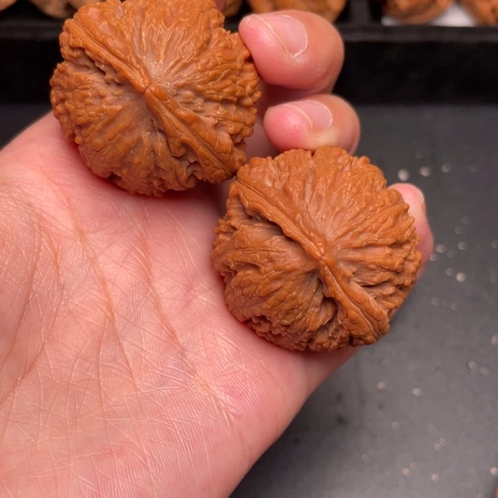 野生核桃文玩核桃