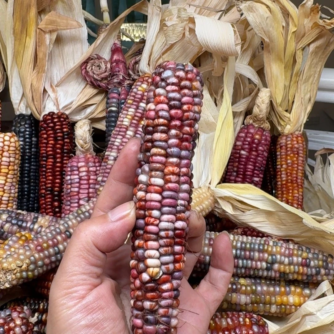 佩***姐柏香籽/百香籽吊坠