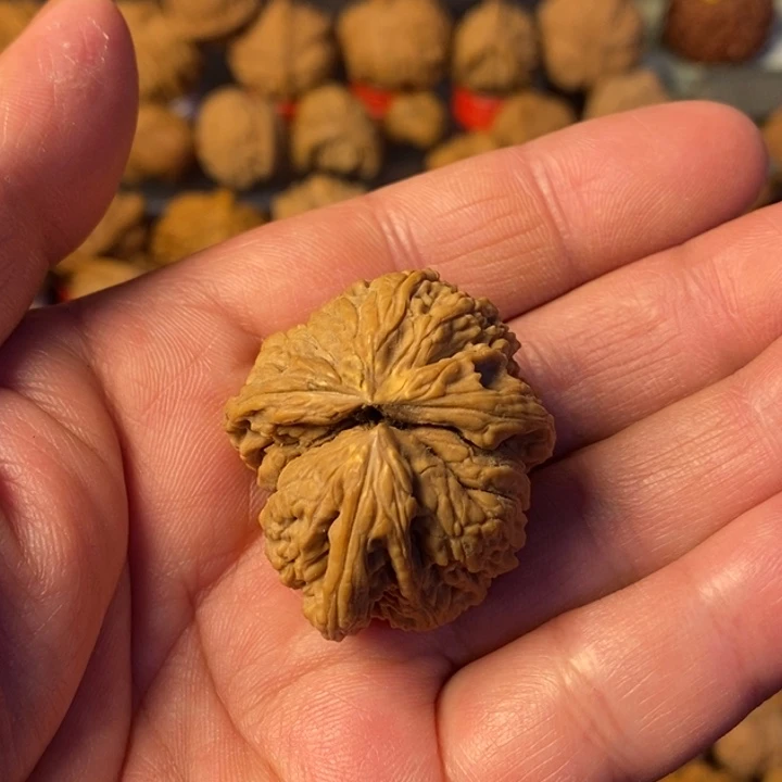 大***牛大叶紫檀（黑酸枝木类）