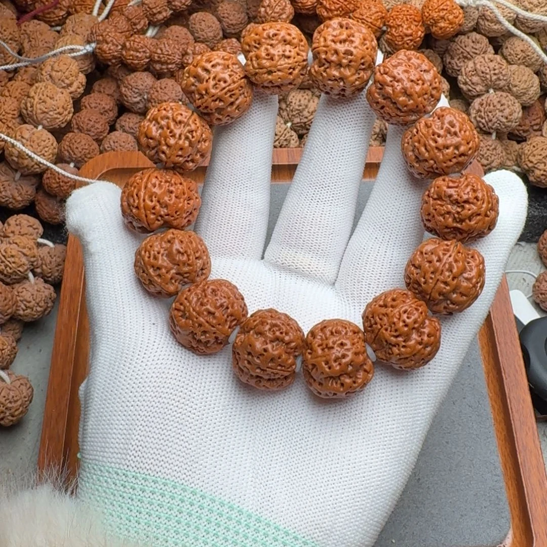 山***歌菩提菩提9号尼泊尔大金刚23爆肉梅花