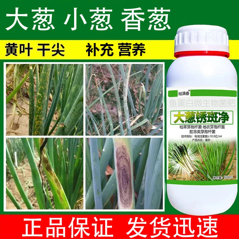 裕满春活性大葱干尖小葱香葱专用干尖黄叶软腐微生物肥料厂家直销