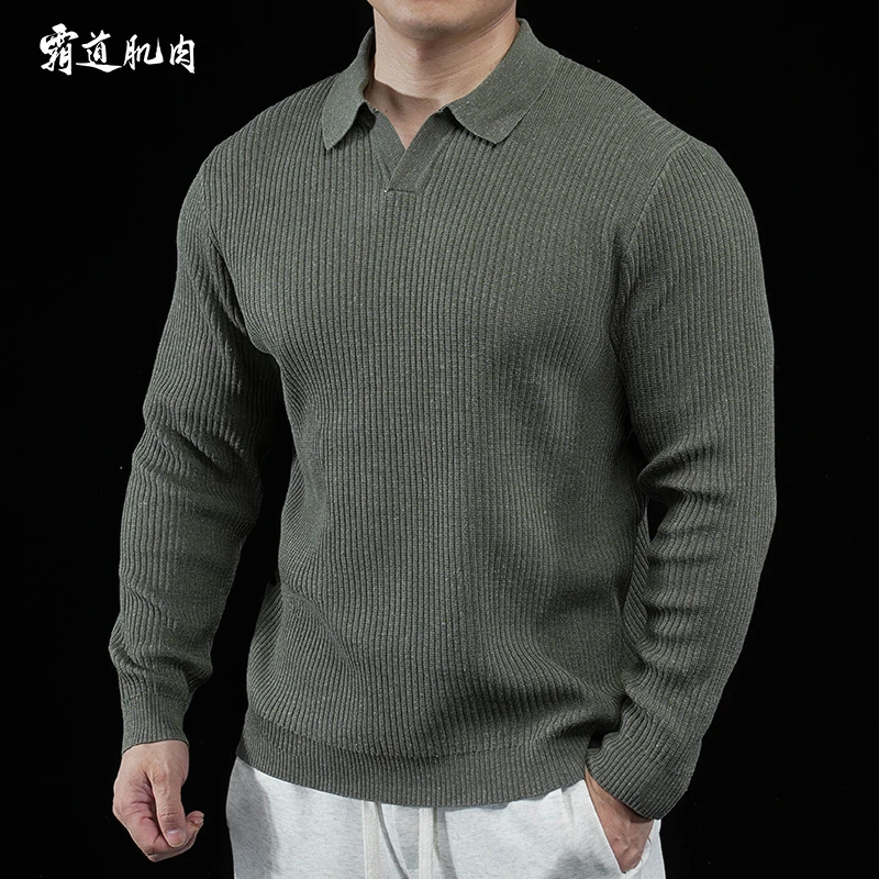 霸道肌肉 春秋季POLO衫男士海鸥领毛衣长袖针织衫翻领极简风纯色