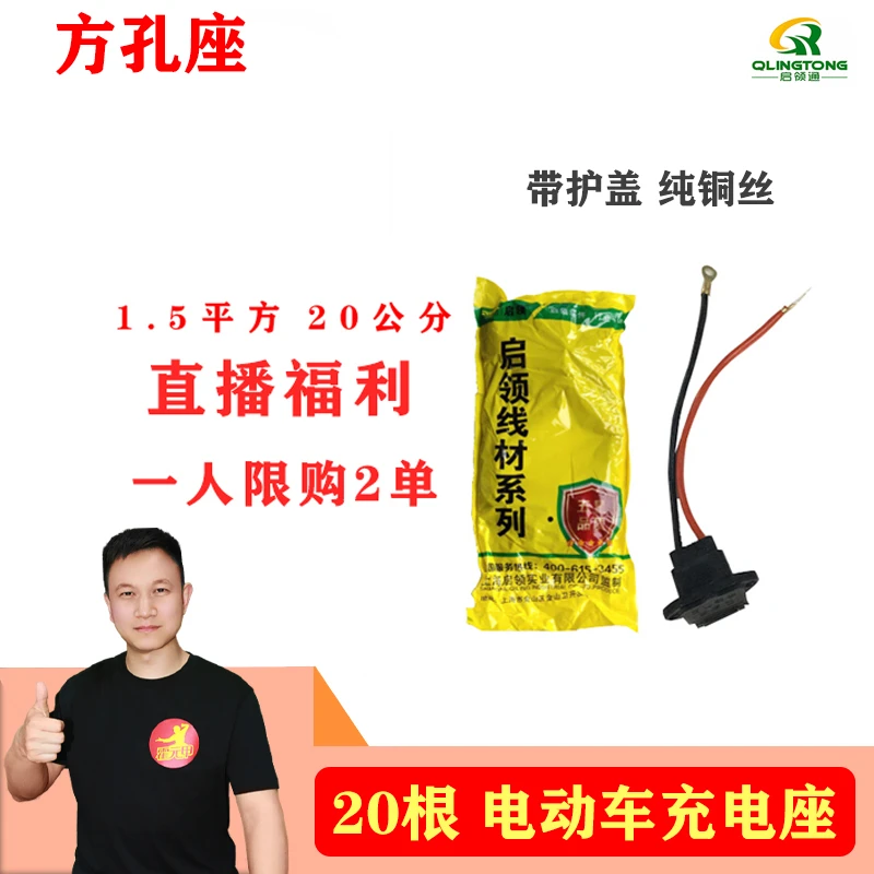 %20个 电动车充电孔三孔座带盖电瓶车充电线充电口母头充电座插头