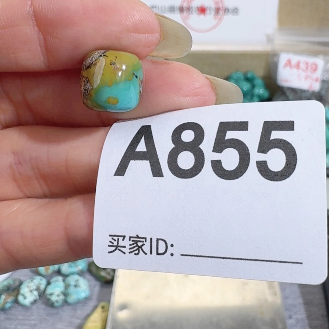 未镶嵌随型玛瑙/玉髓贝*亚