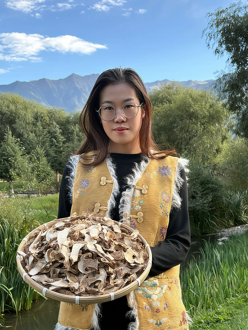 西藏波密野生松茸干货 精选无硫食用农产品菌菇煲汤